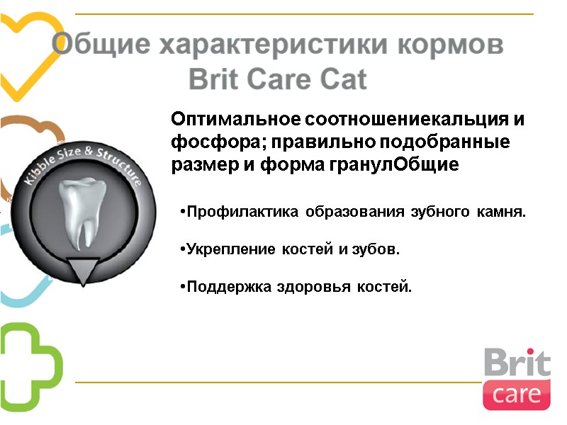 Оптимальное соотношениекальция и фосфора; правильно подобранные размер и форма гранулОбщие  •Профилактика образования зубного